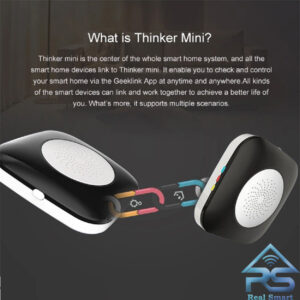 کنترلر رادیویی Thinker-Mini GeekLink