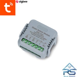 رله هوشمند دوکانال زیگبی